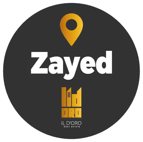 Zayed City